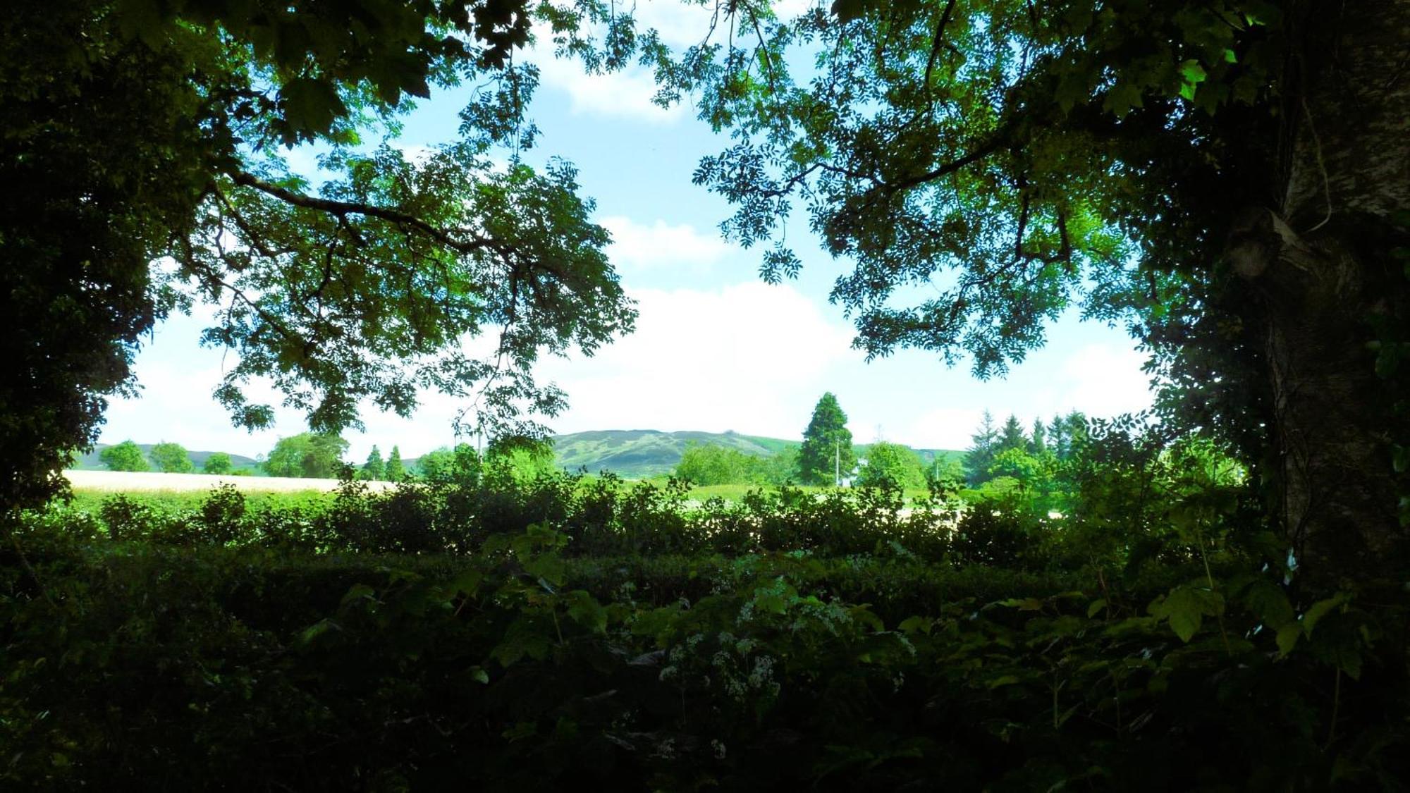 Hotel An Garrai Mor Omagh Esterno foto